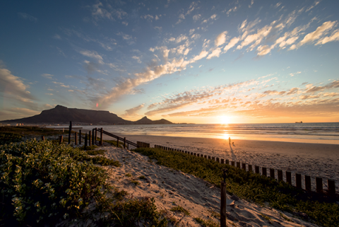 South Africa Skills in Demand South Africa Skills in Demand