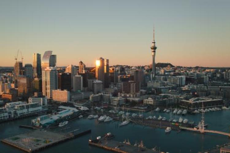 New Zealand Skills in Demand New Zealand Skills in Demand